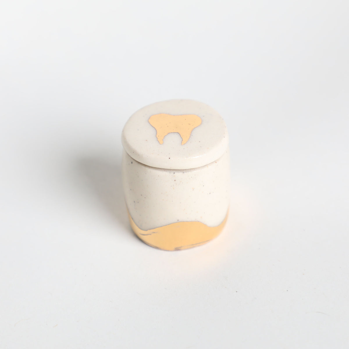 Tooth Fairy Mini Box
